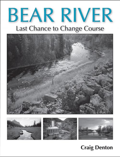 Cover of the book Bear River by Craig Denton, Utah State University Press