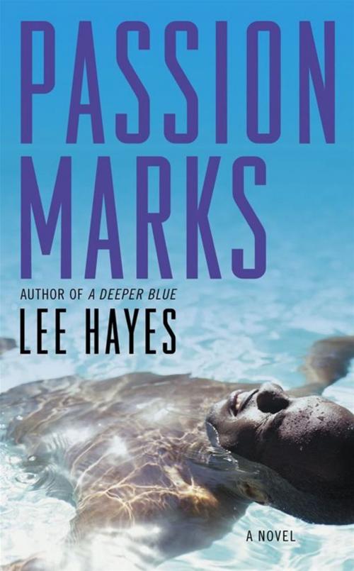Cover of the book Passion Marks by Lee Hayes, Strebor Books