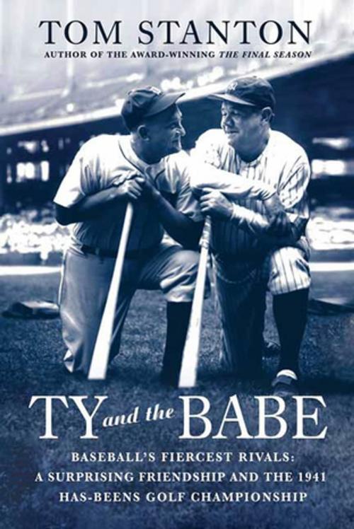 Cover of the book Ty and The Babe by Tom Stanton, St. Martin's Press