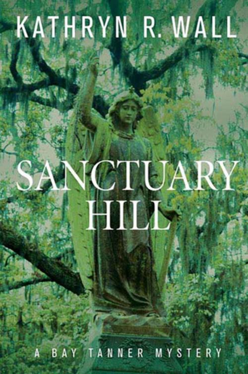 Cover of the book Sanctuary Hill by Kathryn R. Wall, St. Martin's Press