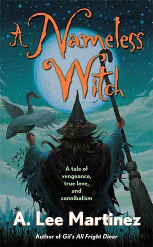 Cover of the book A Nameless Witch by A. Lee Martinez, Tom Doherty Associates