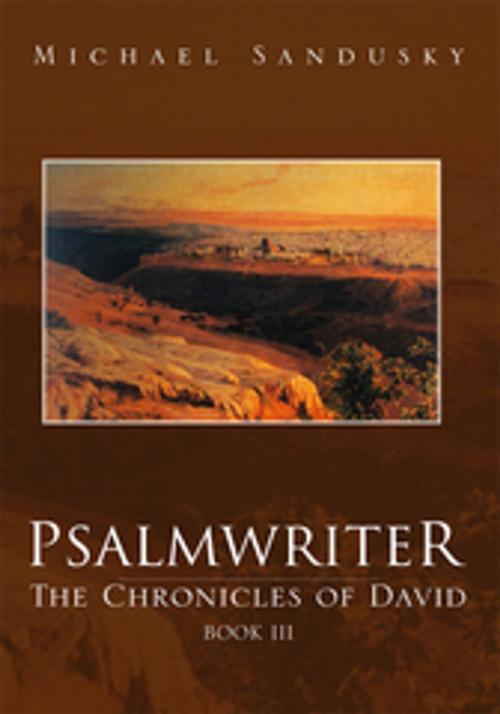 Cover of the book Psalmwriter by Michael Sandusky, Xlibris US