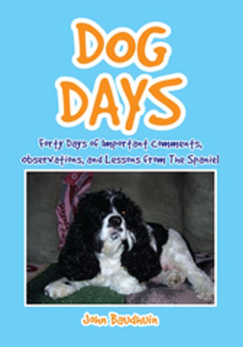 Cover of the book Dog Days by John Baudhuin, Xlibris US