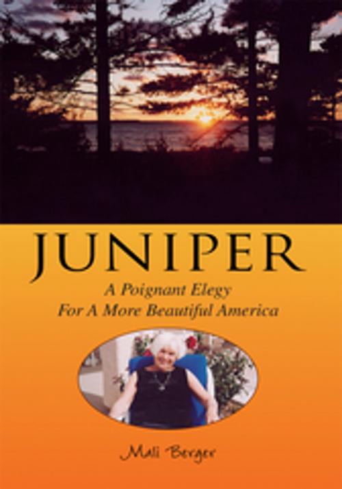 Cover of the book Juniper by Mali Berger, Xlibris US