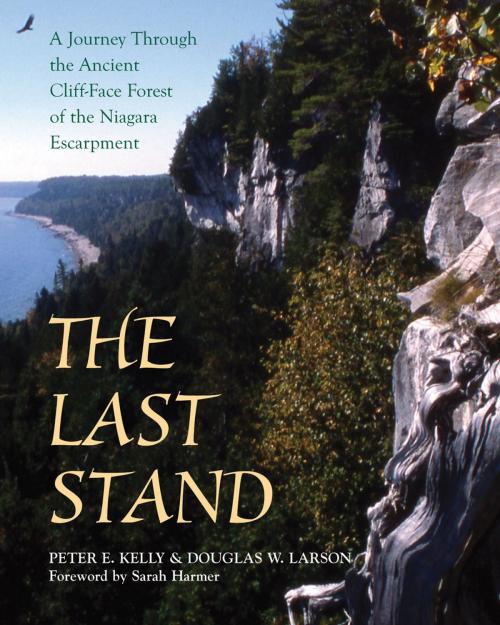 Cover of the book The Last Stand by Peter E. Kelly, Doug Larson, Dundurn