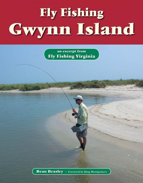 Cover of the book Fly Fishing Gwynn Island by Beau Beasley, No Nonsense Fly Fishing Guidebooks