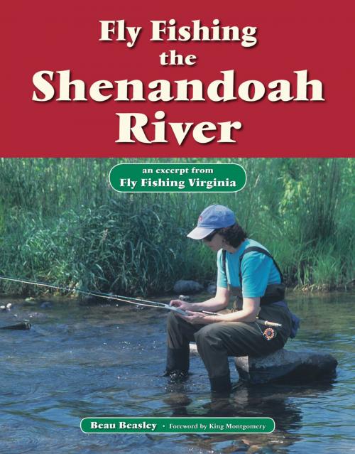 Cover of the book Fly Fishing the Shenandoah River by Beau Beasley, No Nonsense Fly Fishing Guidebooks