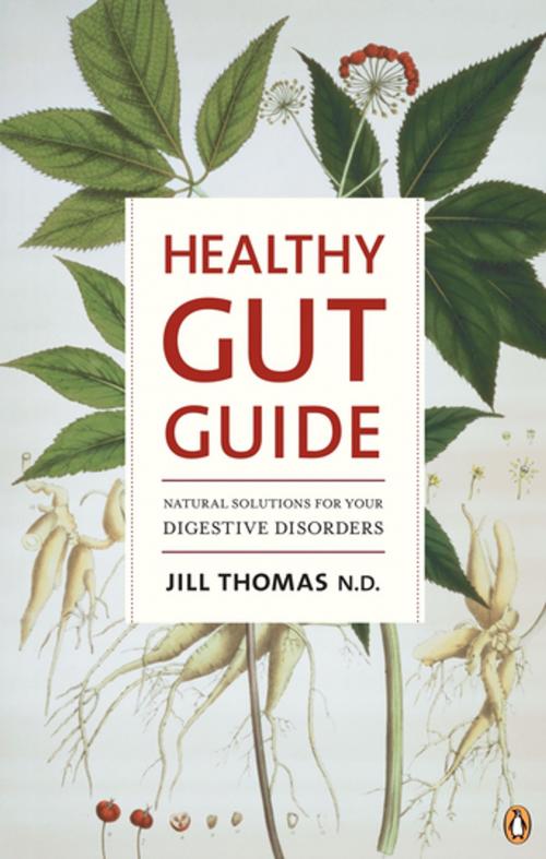 Cover of the book Healthy Gut Guide by Jill Thomas, Penguin Random House Australia