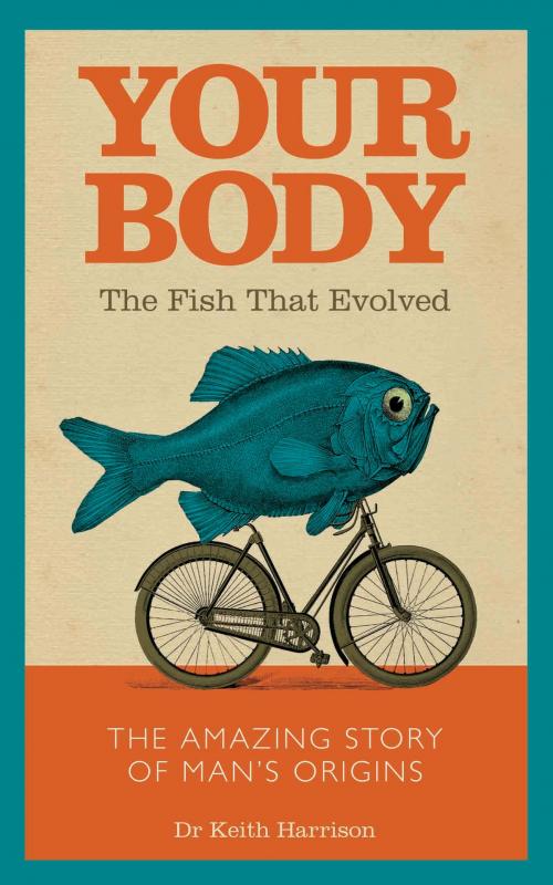Cover of the book Your Body - The Fish That Evolved by Dr. Keith Harrison, John Blake Publishing