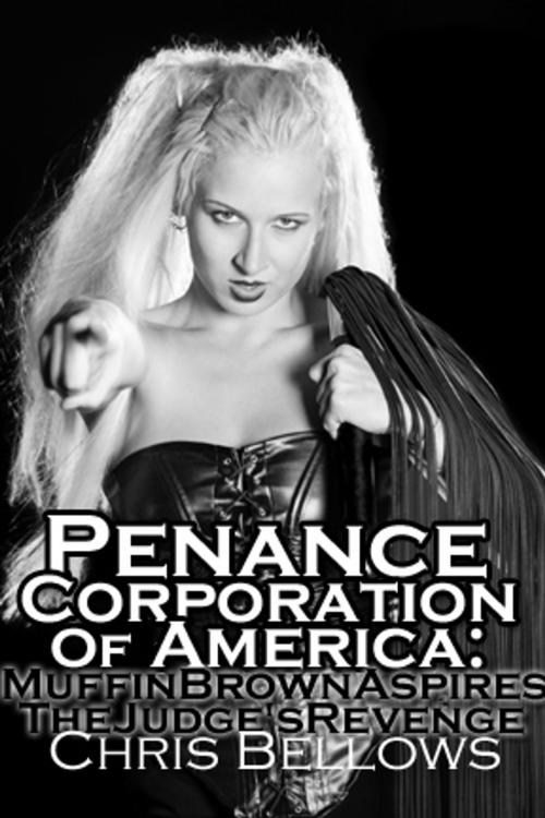 Cover of the book Penance Corporation of America by Chris Bellows, Pink Flamingo Publications