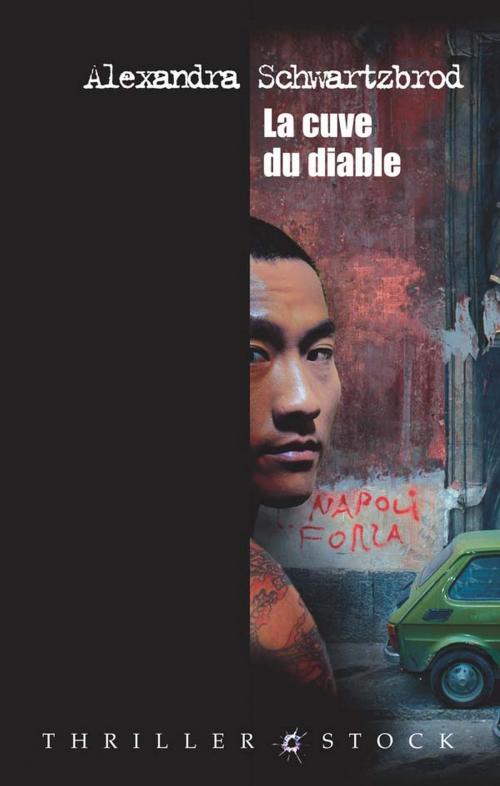 Cover of the book La cuve du diable by Alexandra Schwartzbrod, Stock