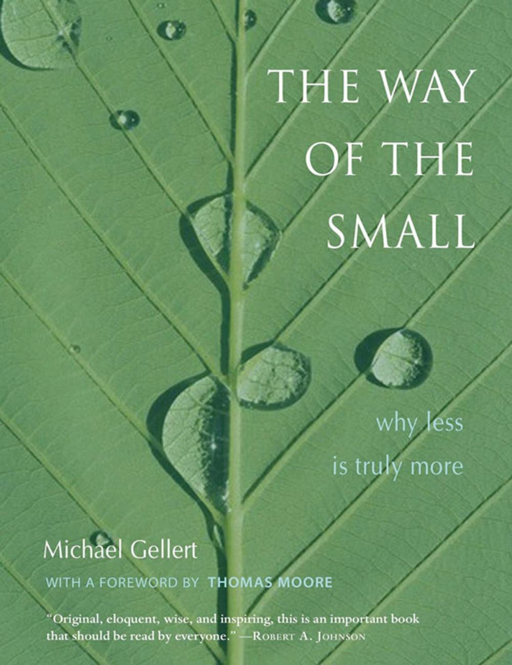 Big bigCover of The Way of the Small