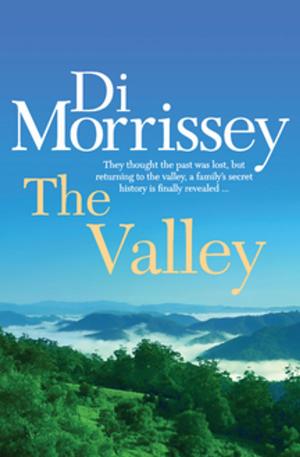 Cover of the book The Valley by Glenn Murphy
