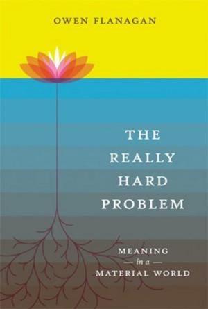 Cover of the book The Really Hard Problem: Meaning in a Material World by Steven Coutinho