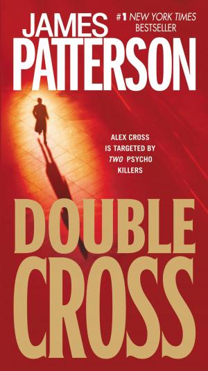 Cover of the book Double Cross by Stephen Gallagher
