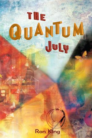 Cover of the book The Quantum July by Paul Stewart, Chris Riddell