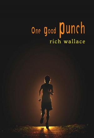 Cover of the book One Good Punch by Amelia Atwater-Rhodes