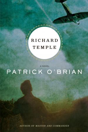 Cover of the book Richard Temple: A Novel by Michael Bérubé