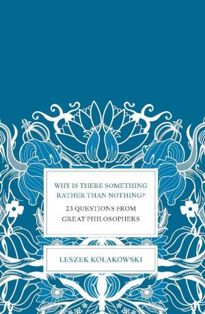 Book cover of Why Is There Something Rather Than Nothing?