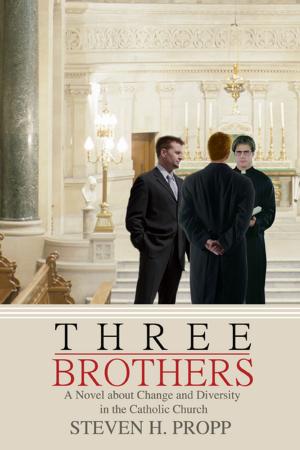 Cover of the book Three Brothers by Sue Langford