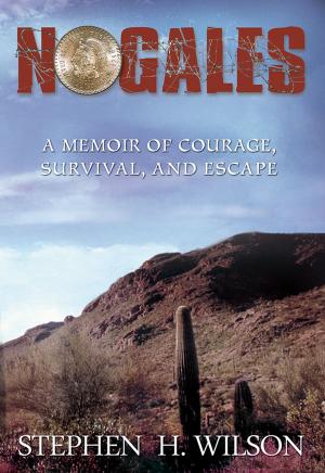 Cover of the book Nogales by Michelle O. Donovan