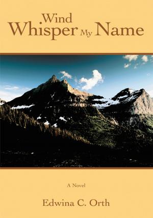 Cover of the book Wind Whisper My Name by Brenna Barzenick
