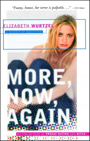 Cover of the book More, Now, Again by Jennifer Chiaverini