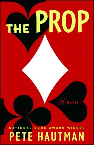 Cover of the book The Prop by kevin greenstreet