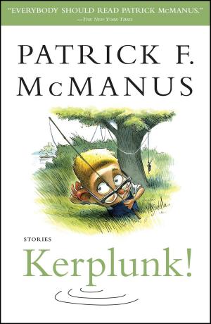 Cover of the book Kerplunk! by Fred Kaplan