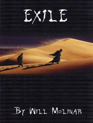 Cover of the book Exile by Beth Szillagyi