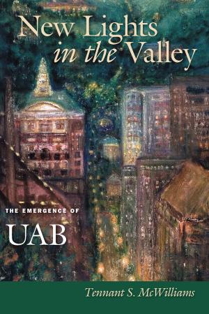 bigCover of the book New Lights in the Valley by 