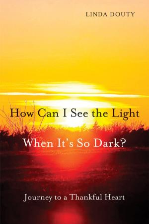 Book cover of How Can I See the Light When It's So Dark?