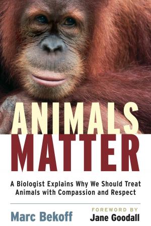 bigCover of the book Animals Matter by 