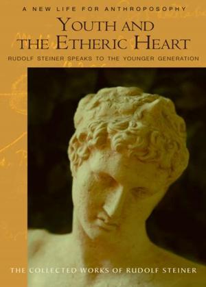 Book cover of Youth and the Etheric Heart