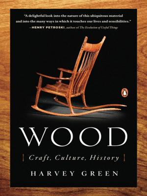 Cover of the book Wood by Christine Feehan