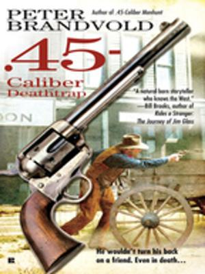 Cover of the book .45-Caliber Deathtrap by E.E. Knight