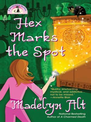 Cover of the book Hex Marks the Spot by Stephen Wetta