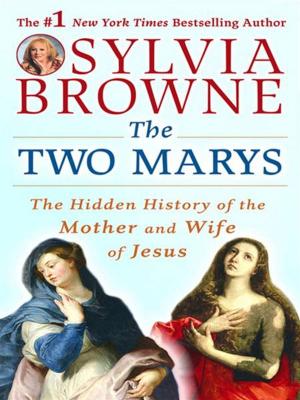 Cover of the book The Two Marys by Lian Hearn