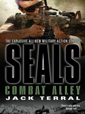 Cover of the book Seals: Combat Alley by Hal Williams