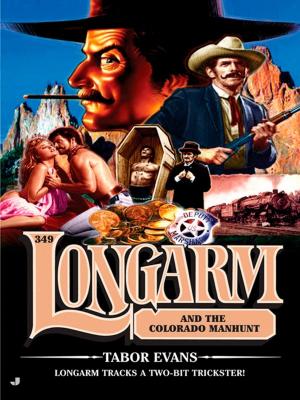 Cover of the book Longarm 349 by Adrienne morris