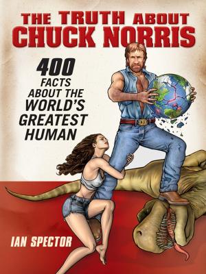 Cover of the book The Truth About Chuck Norris by E.J. Copperman