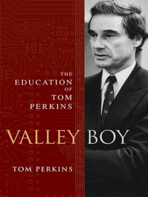 Cover of the book Valley Boy by Alan Connor