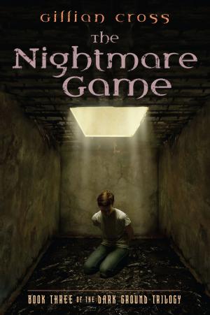 Cover of the book Dark Ground #3: The Nightmare Game by Donald J. Sobol