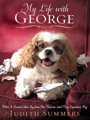 Cover of the book My Life With George by Lauren Groff
