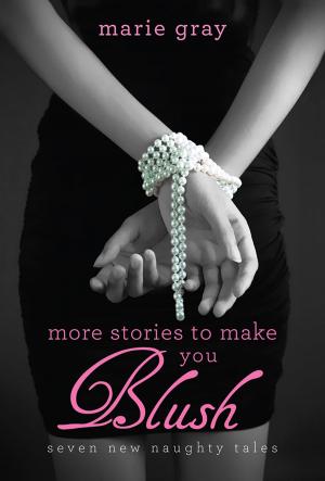 Cover of the book More Stories to Make You Blush by Susan Blumberg-Kason