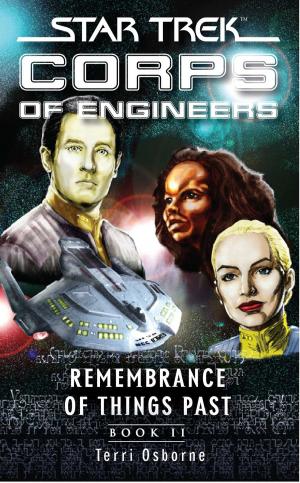 Cover of the book Star Trek: Remembrance of Things Past by Susan Sizemore