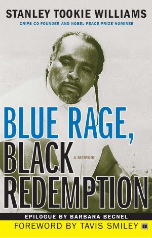 Cover of the book Blue Rage, Black Redemption by Barry Lubetkin