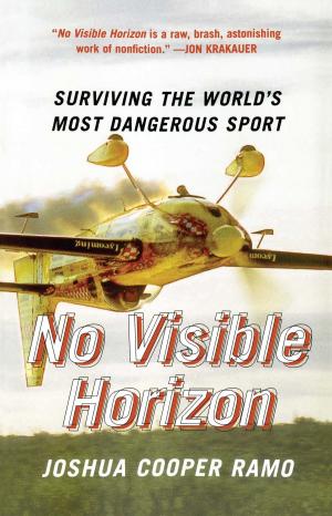 Cover of No Visible Horizon