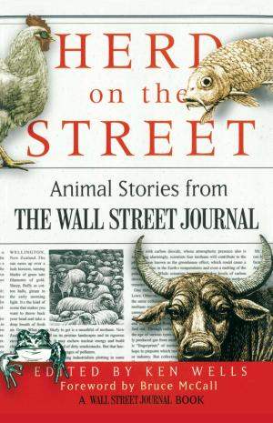Cover of the book Herd on the Street by Adonis Stevenson