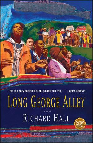 Cover of the book Long George Alley by Lisa Huang Fleischman